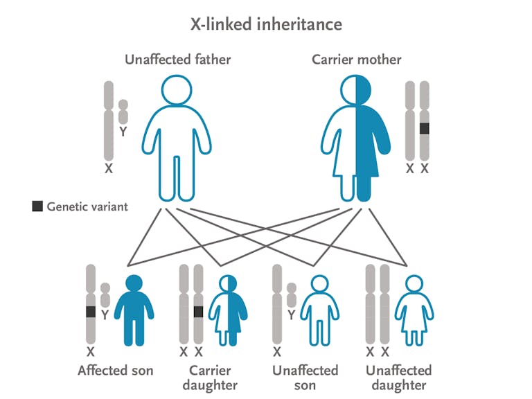 Invitae Comprehensive Carrier Screen | Individuals